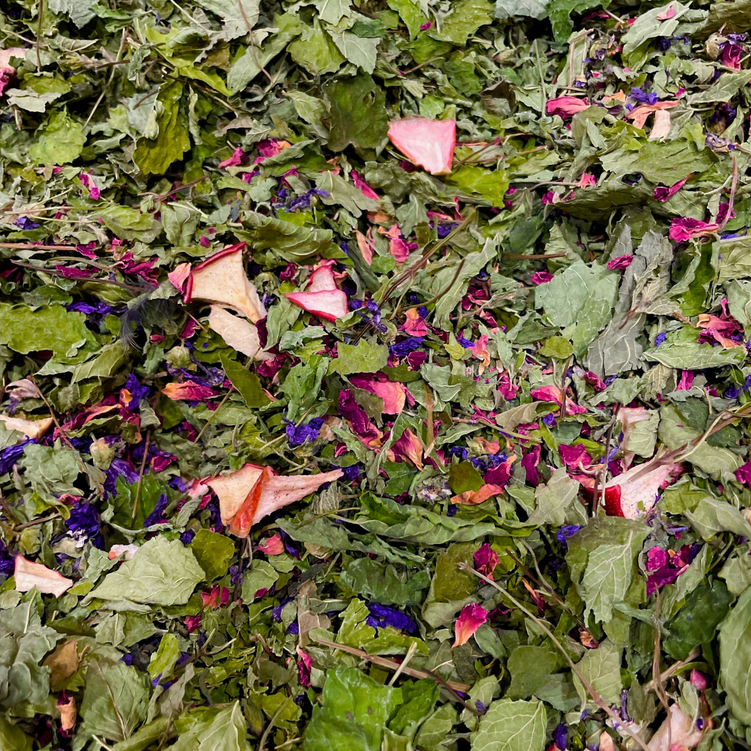 Starry Night Christmas Herbal Tea