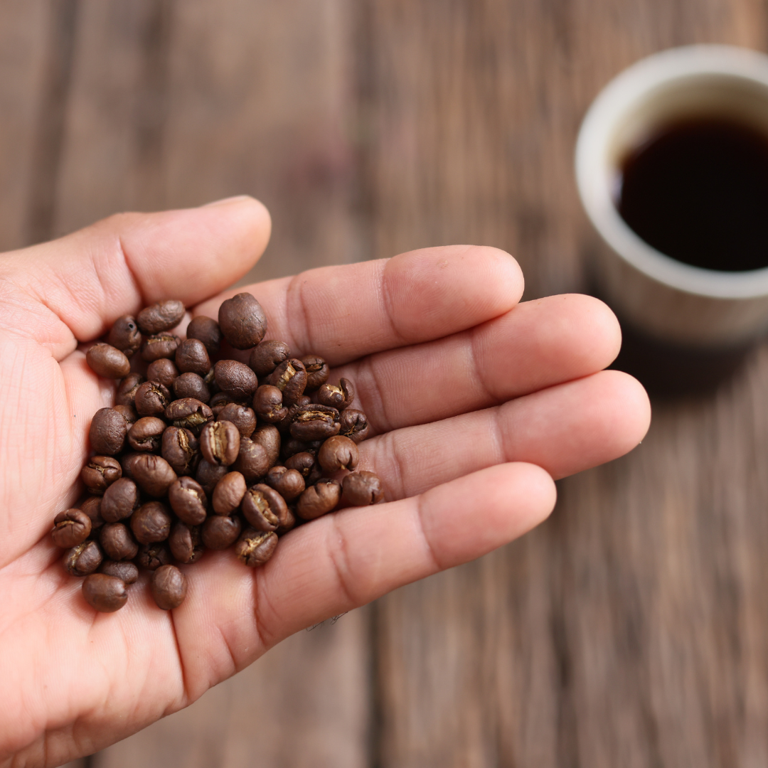 Tanzania Kilimandjaro Peaberry, Washed Process, Specialty Roast