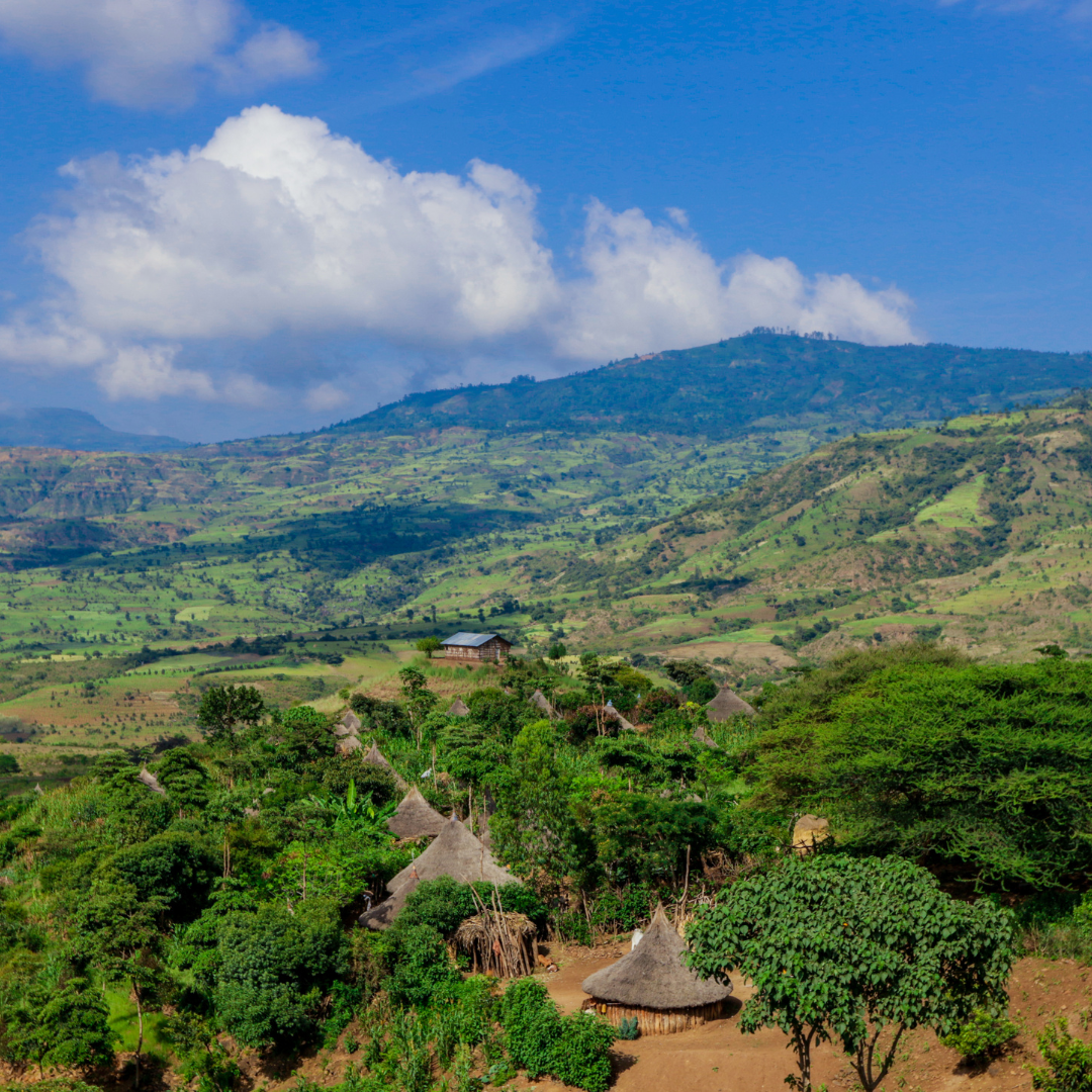 Ethiopia Guji, Natural Process, Speciality Roast