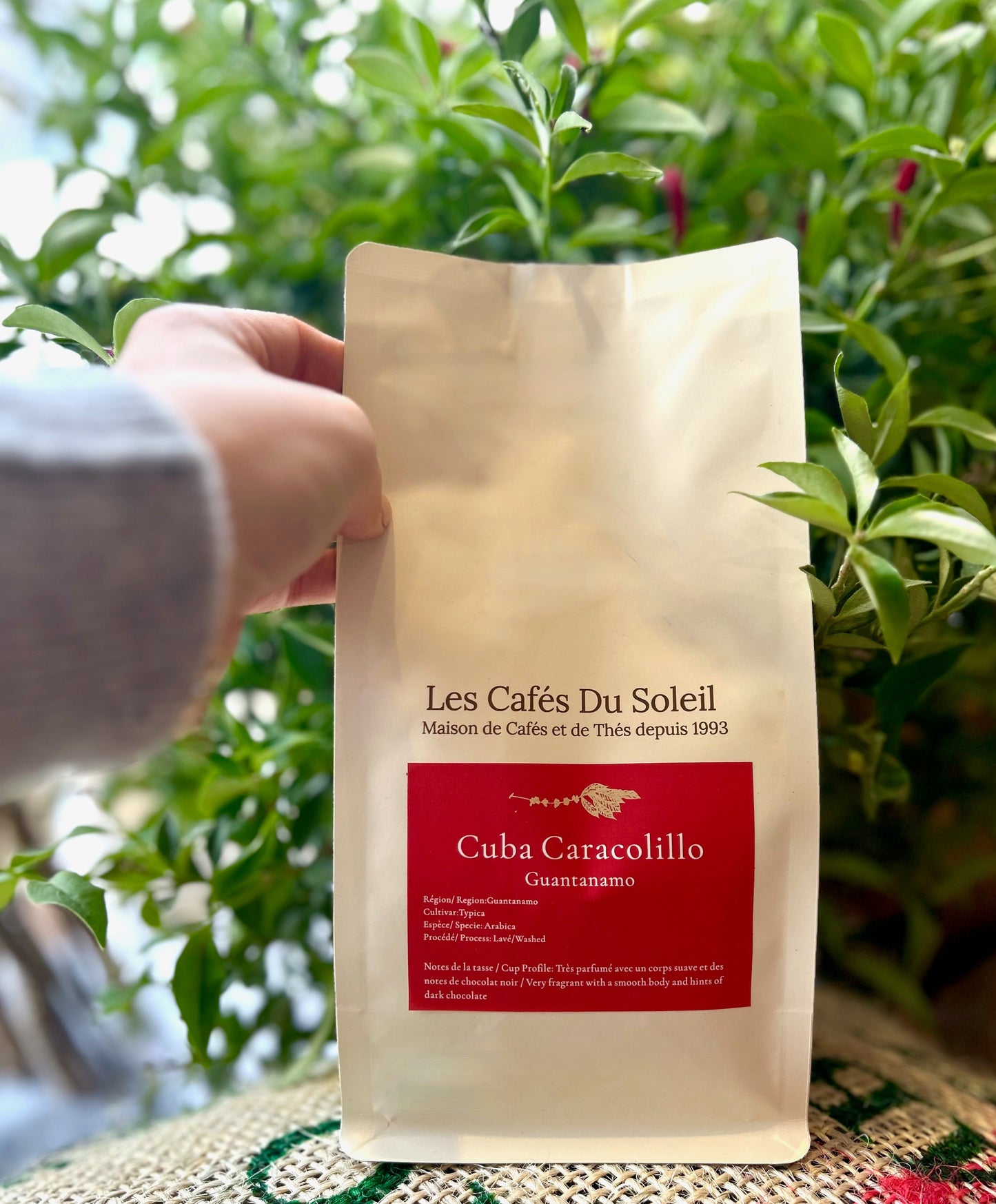 Cuba Caracolillo (Peaberry), Procédé Lavé, Torréfaction Spécialisée