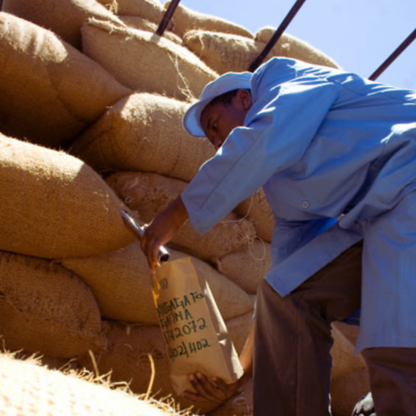 Kenya AA Juja Thika, Procédé Lavé, Torréfaction Noire