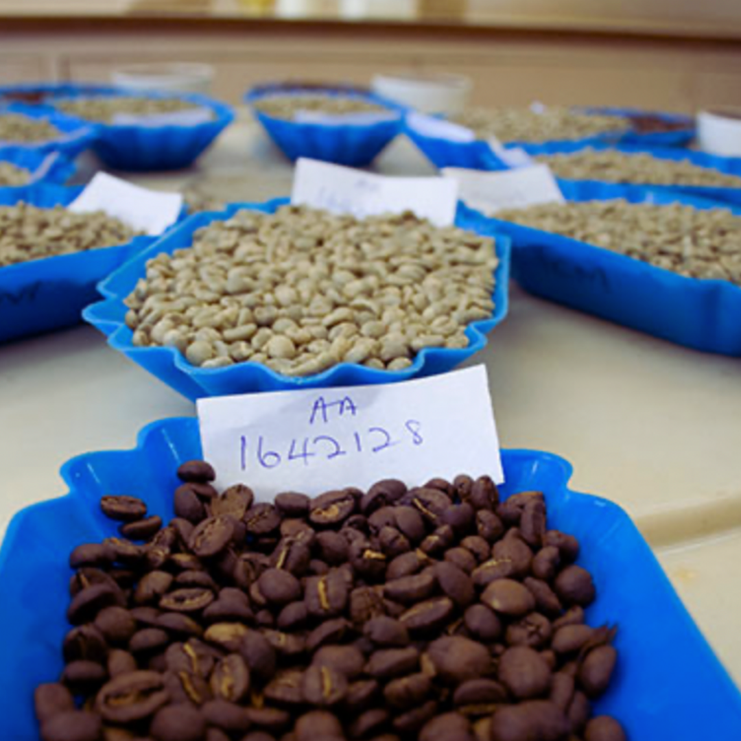 Kenya AA Juja Thika, Washed Process, Specialty Roast