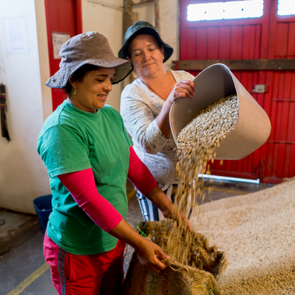 Mélange Les Cafés du Soleil, Torréfaction Spécialisée