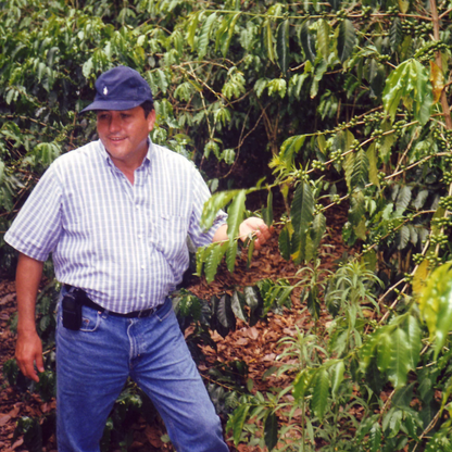 Cuba Caracolillo (Peaberry), Procédé Lavé, Torréfaction Spécialisée