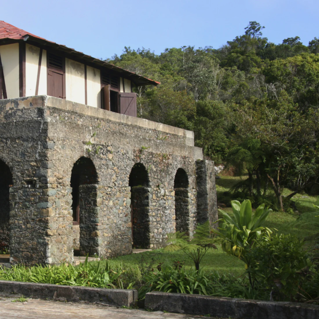 Cuba Caracolillo (Peaberry), Procédé Lavé, Torréfaction Spécialisée