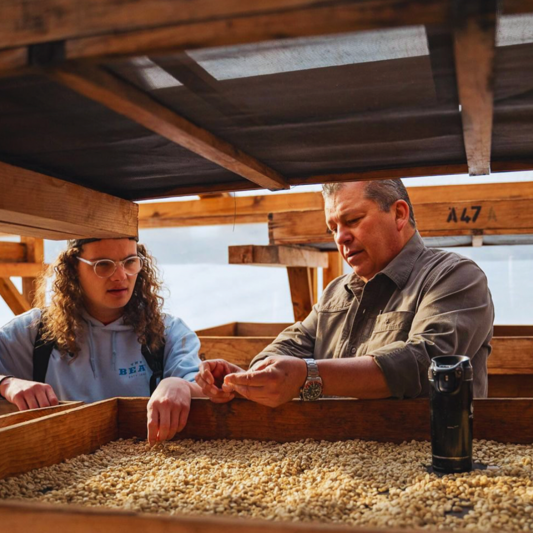 Guatemala Antigua, Huehuetenango, Washed Process, Dark Roast