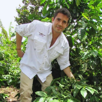 Nicaragua Il Cielo, Peñas Blancas, Procédé Naturel, Torréfaction Spécialisée