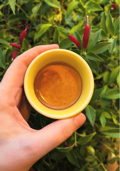 Coffee Discovery Gift Box 