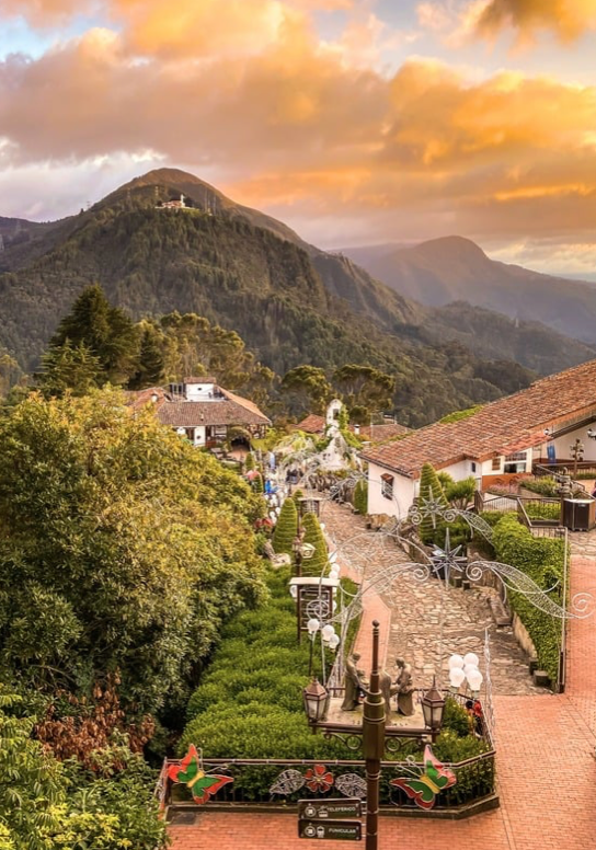 Geisha, Finca La Villa, San Jose de Isnos Huila, Specialty Roast