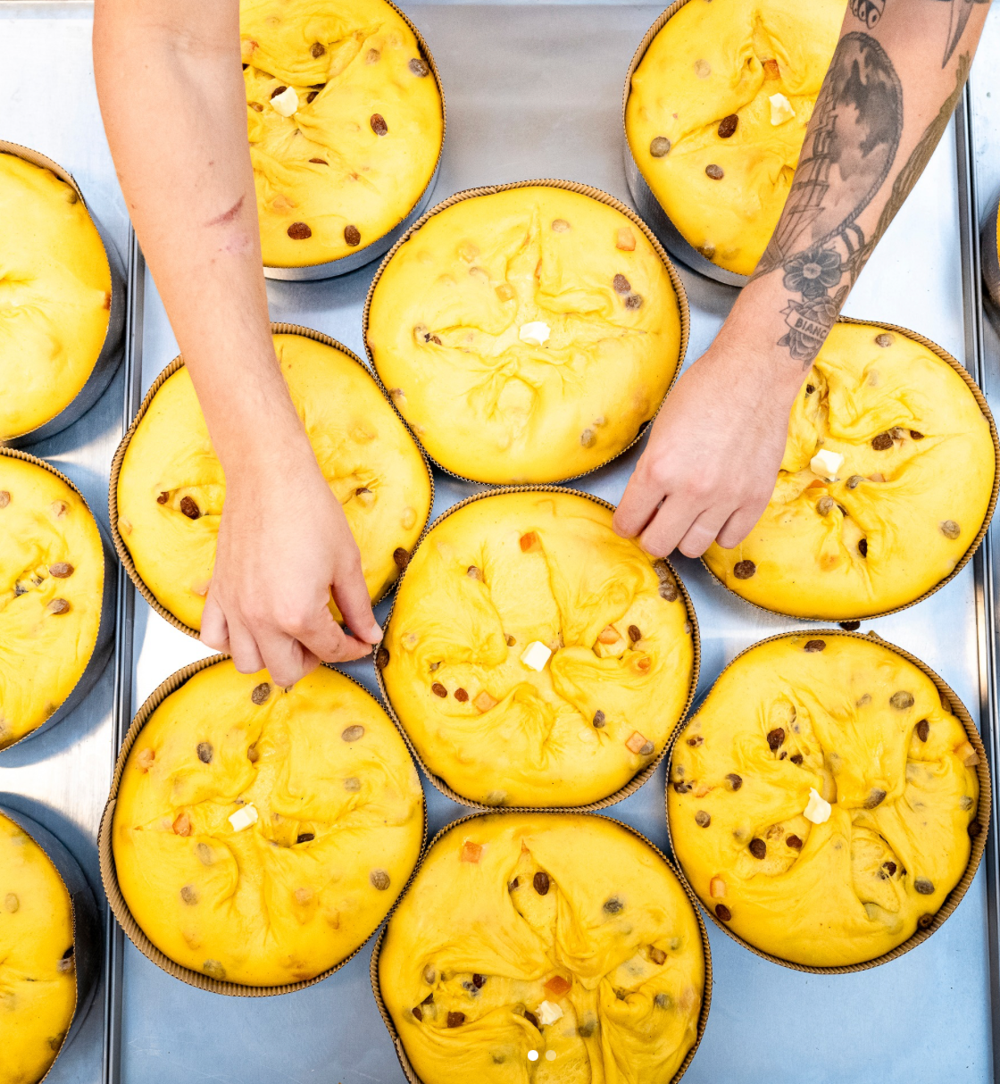 Olivieri Apricot & Coffee Panettone, 1 kg