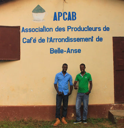 Haïti Blue Pine, Procédé Lavé, Torréfaction Spécialisée